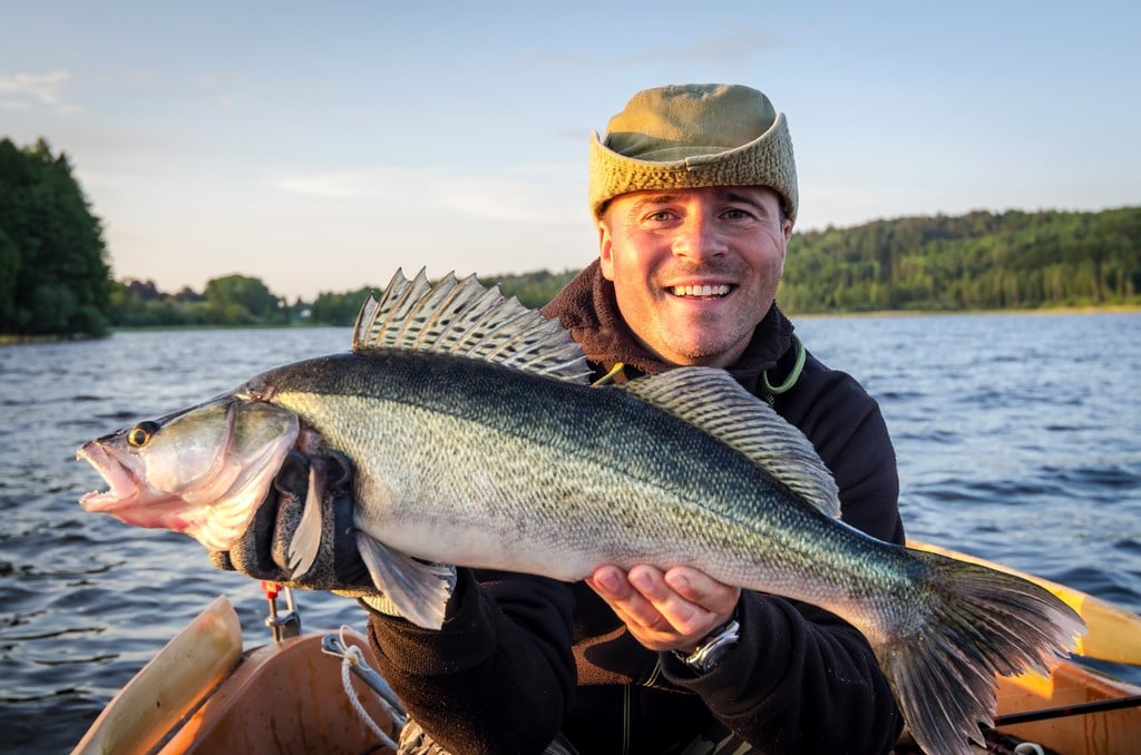 how to catch trophy walleye fishing planet