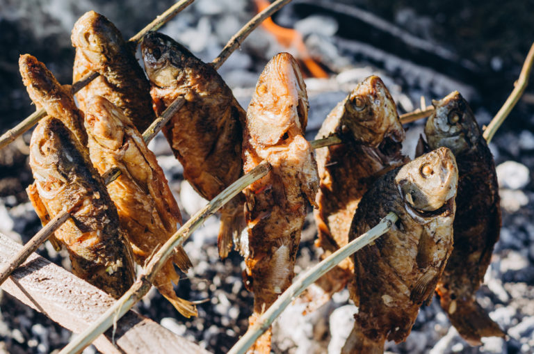 Ways Of Preparing Fish Over A Campfire