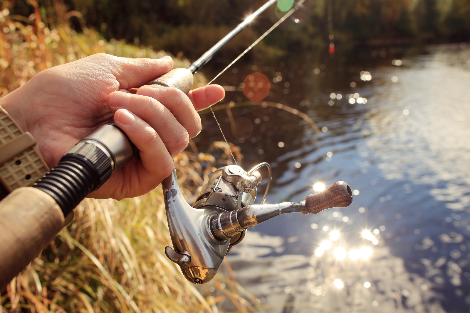 A Fishing Gear Guide FOR EVERYONE! Get Started Ultralight Fishing