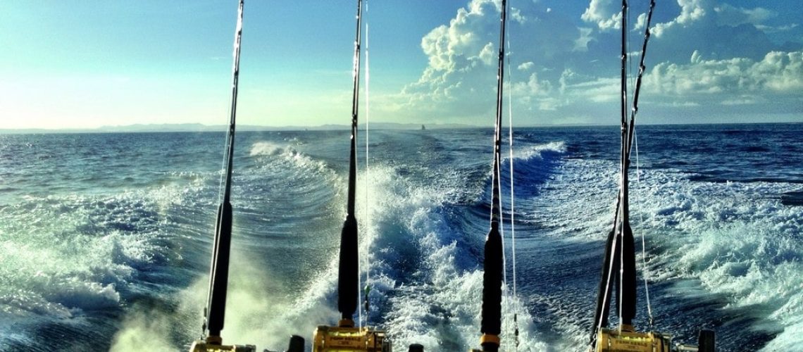5 Must-Know Offshore Fishing Tips You Need For Success - Yellow Bird  Fishing Products