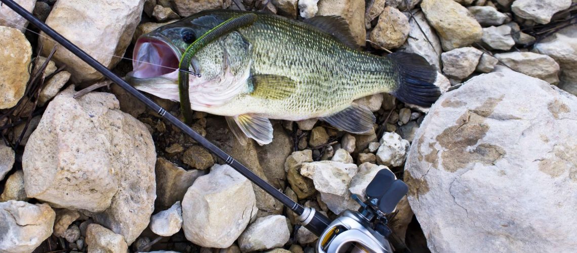 6 Bass Fishing Tips For Hard Fishing Days