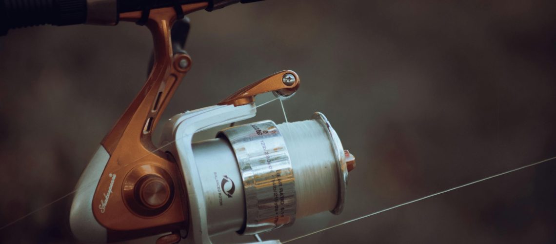 Fishing Reel Sizing Guide for Beginners and Experts