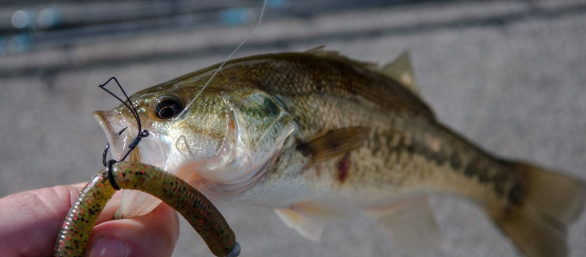 How to Properly Rig and Use Fishing Lures
