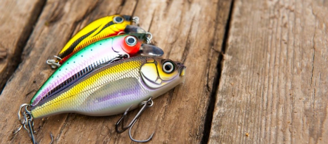 Should You Go For Artificial Or Live Bait? - Yellow Bird Fishing